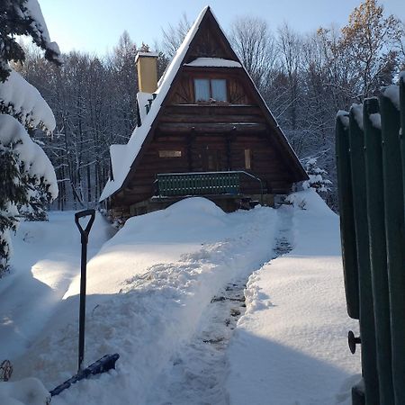 Kosarzowka Villa Bielsko-Biala Bagian luar foto