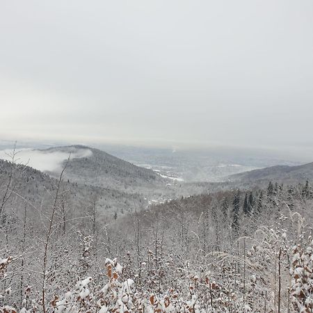 Kosarzowka Villa Bielsko-Biala Bagian luar foto