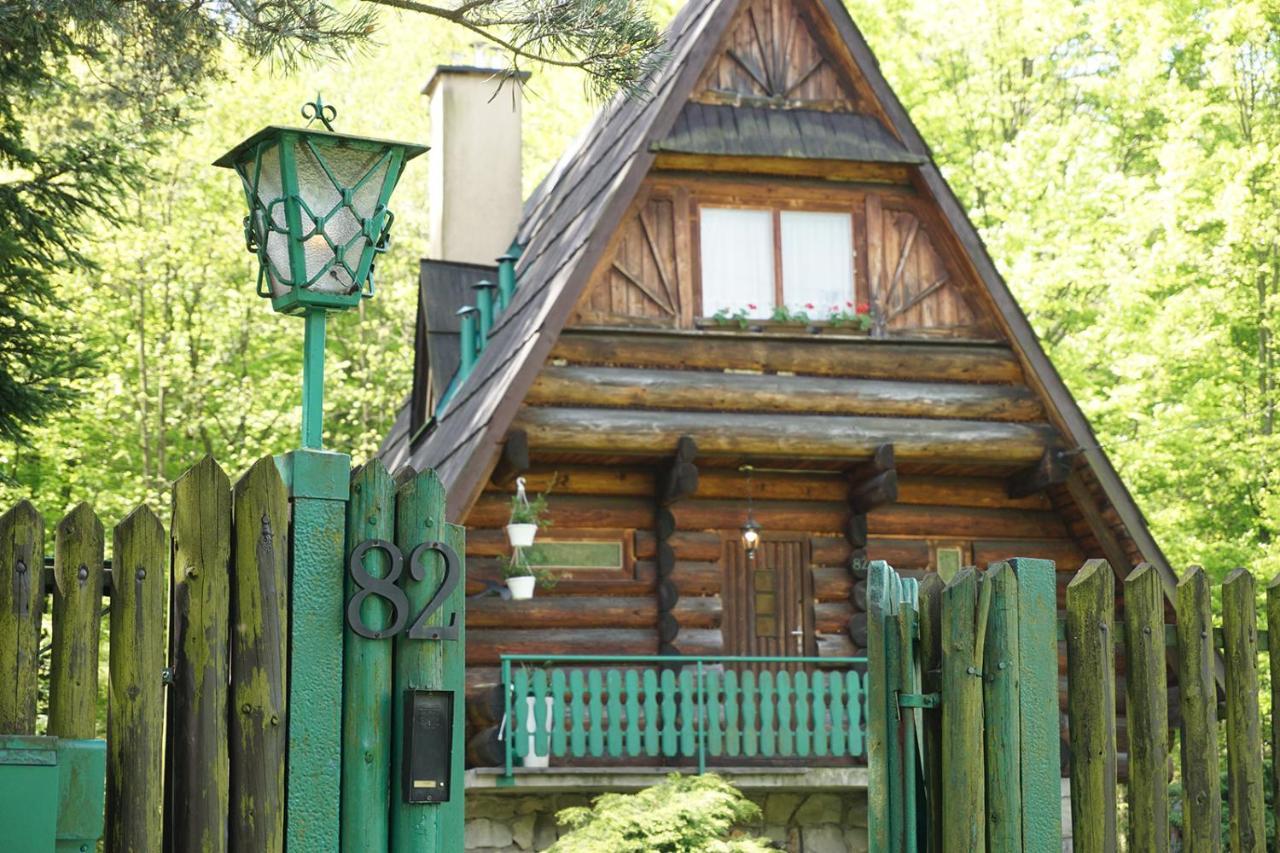 Kosarzowka Villa Bielsko-Biala Bagian luar foto