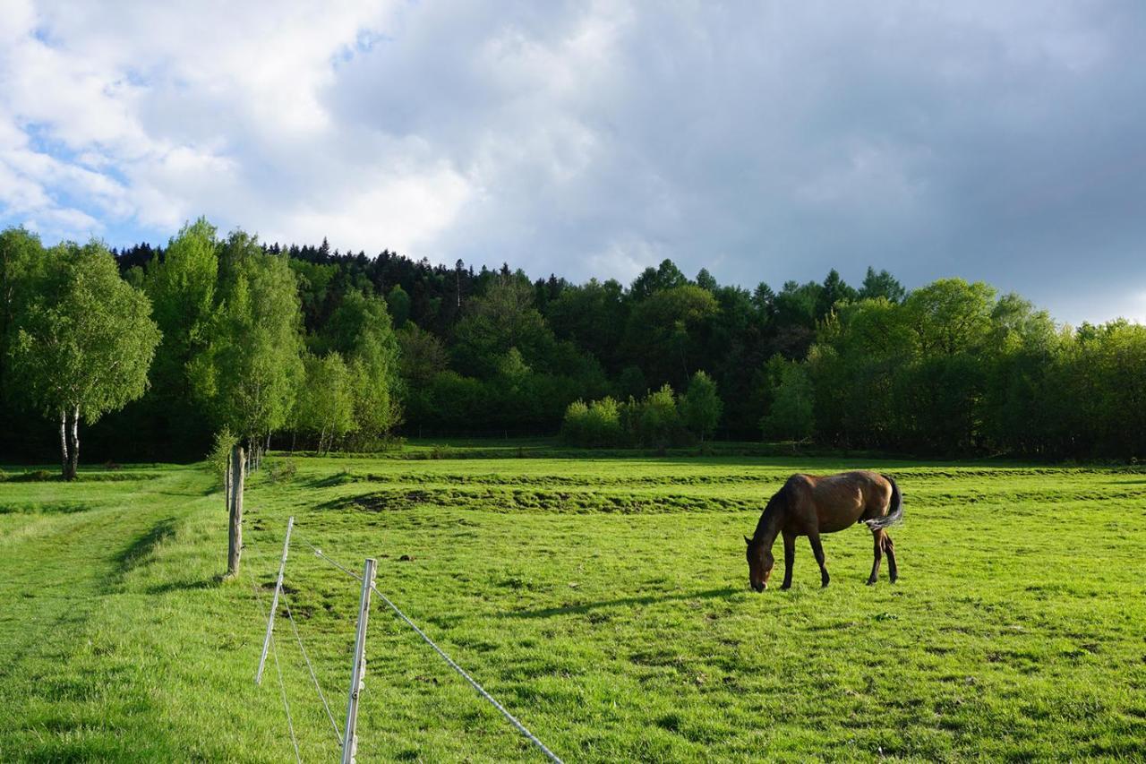 Kosarzowka Villa Bielsko-Biala Bagian luar foto