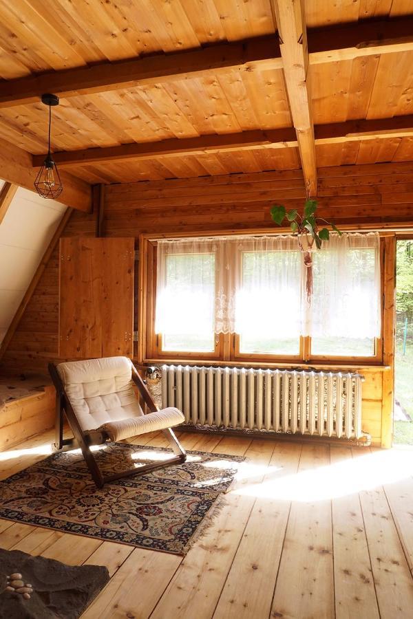 Kosarzowka Villa Bielsko-Biala Bagian luar foto