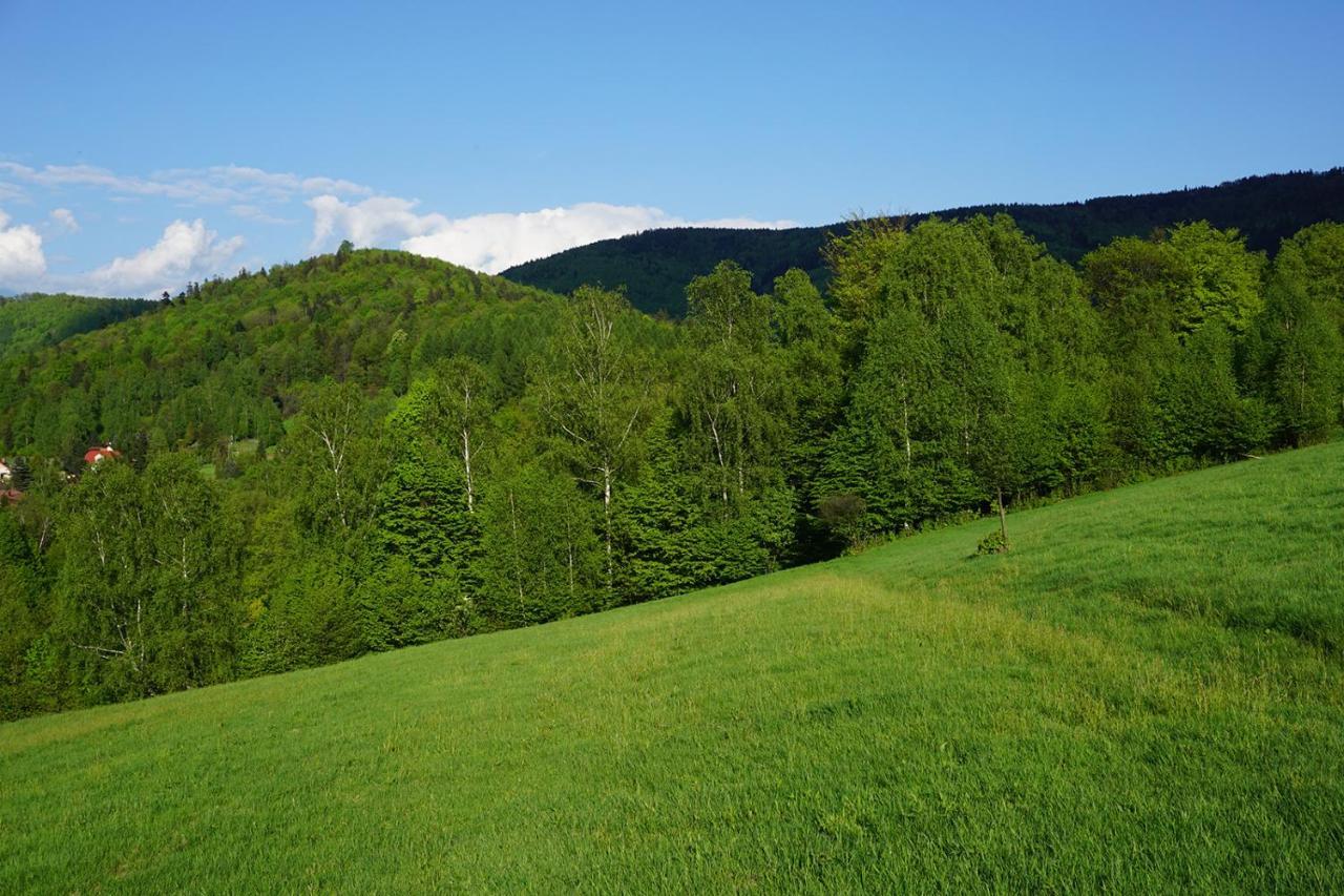 Kosarzowka Villa Bielsko-Biala Bagian luar foto