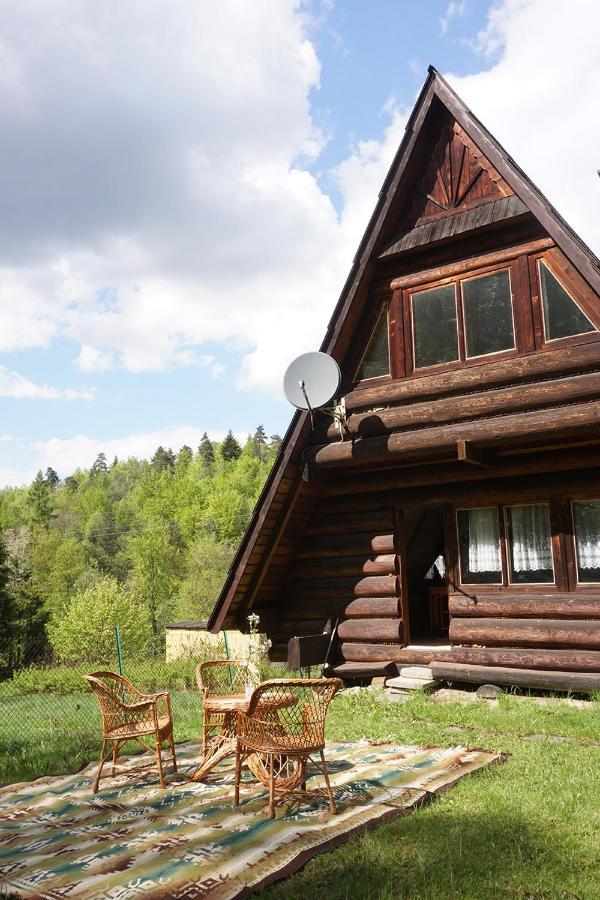 Kosarzowka Villa Bielsko-Biala Bagian luar foto