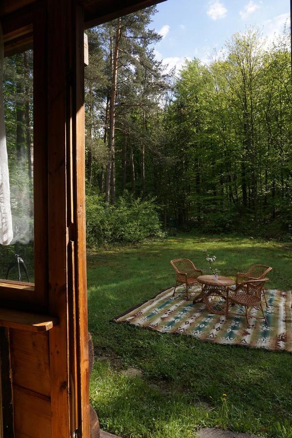 Kosarzowka Villa Bielsko-Biala Bagian luar foto