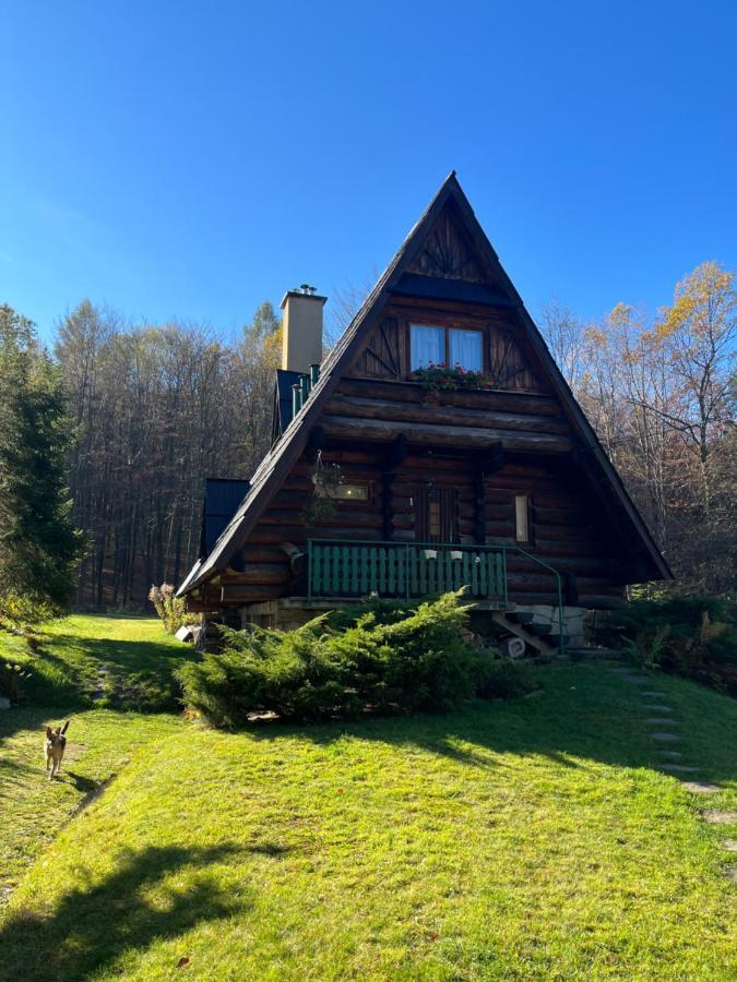 Kosarzowka Villa Bielsko-Biala Bagian luar foto