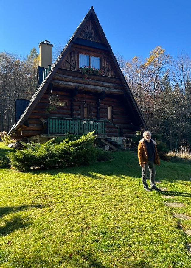Kosarzowka Villa Bielsko-Biala Bagian luar foto