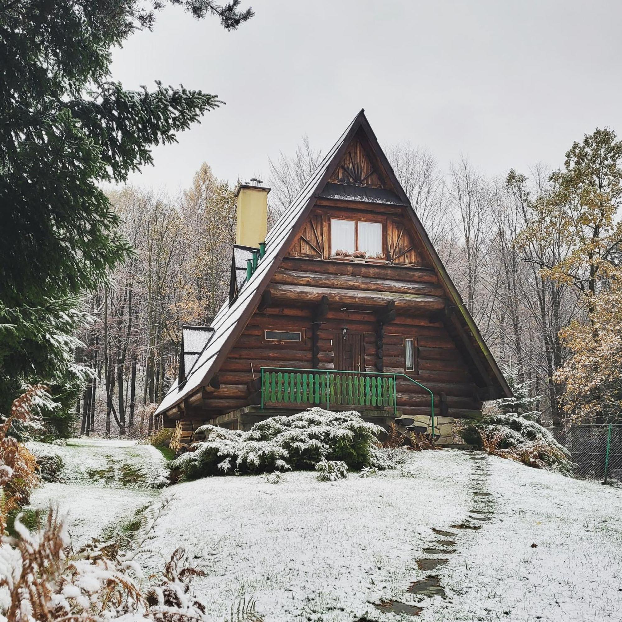Kosarzowka Villa Bielsko-Biala Bagian luar foto